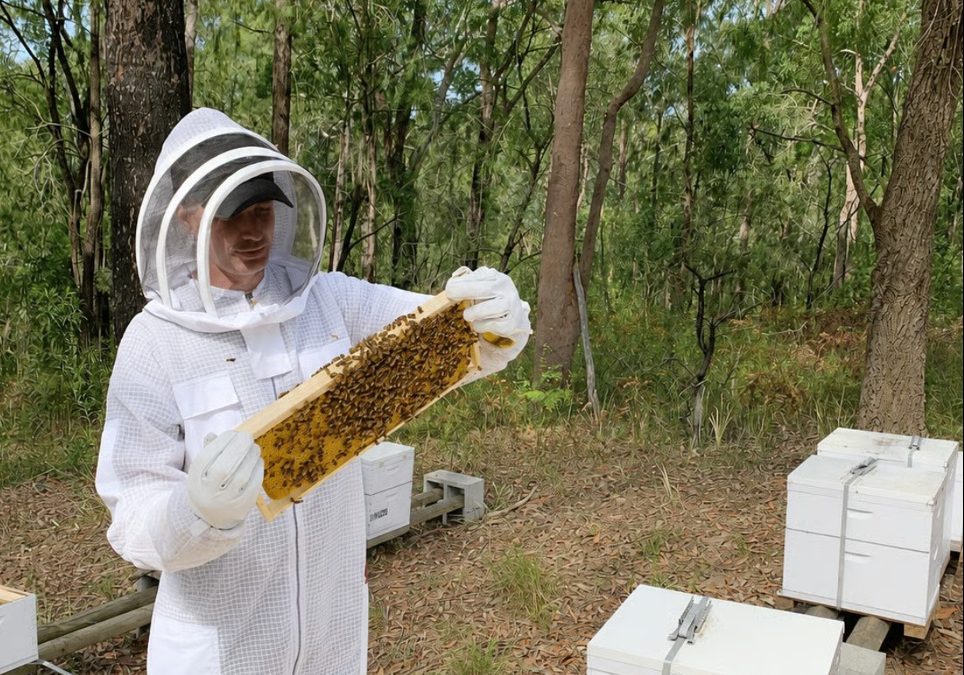 Meet the Producers: Snives Hives Honey